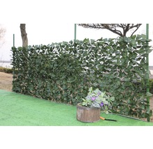 Protecție vizuală aspect iederă 1x3m-thumb-2