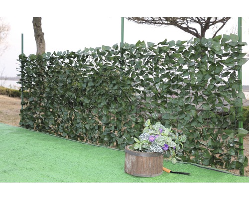 Gard de grădină cu frunze verzi și jardinieră în grădină