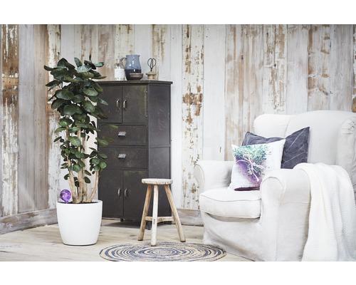Living decorativ cu fotoliu, dulap, planta si scaun din lemn
