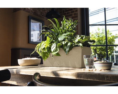 Jardinieră dreptunghiulară din plastic cu diverse plante pe o masă din lemn