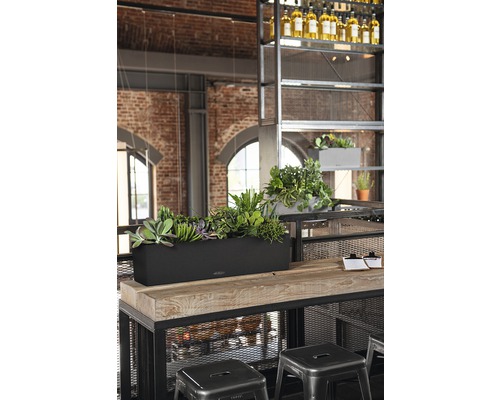 Scenă cu o jardinieră cu diverse plante pe o masă de lemn într-un spațiu cu design industrial