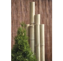 Trunchi decorativ bambus Ø 4-5 cm L 200 cm maro-thumb-3