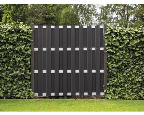 Gard de grădină din plastic cu accente argintii și gard viu verde