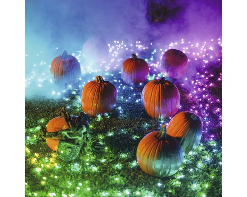 Scenă de Halloween cu dovleci și lumini decorative în grădină.