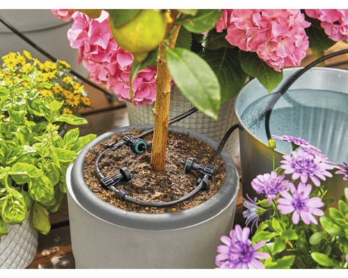 Sistem de irigare pentru plante într-un ghiveci