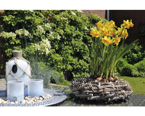 Scenă decorativă cu narcise într-un cuib de lemn, o sticlă de sticlă cu decorațiuni din sfoară și lumânări de vânt pe o tavă