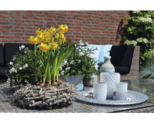 Scenă de exterior cu narcise într-o jardinieră de lemn și suporturi pentru lumânări pe o masă