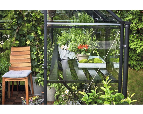 Seră cu plante pe un raft, înconjurată de vegetație de grădină