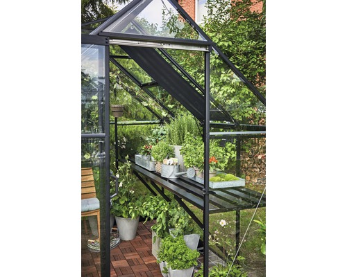 Seră cu plante și rafturi în grădină