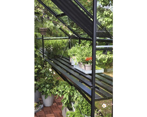 Interior de seră cu plante pe rafturi.