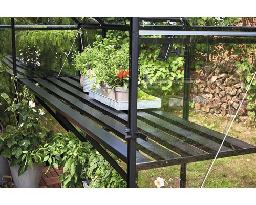 Raft în seră cu plante