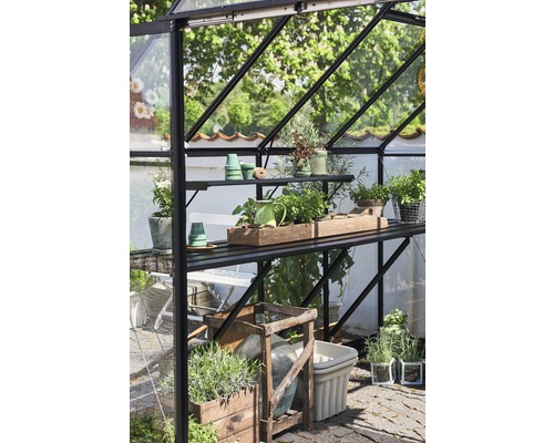 Seră cu rafturi și diverse recipiente pentru plante.