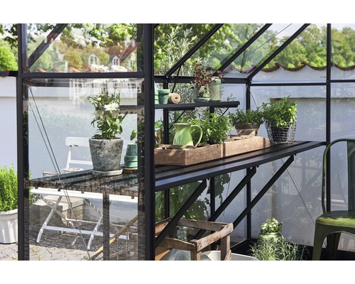 Seră cu rafturi și plante