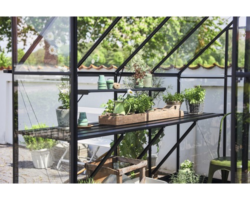 Seră cu rafturi și plante în ghivece