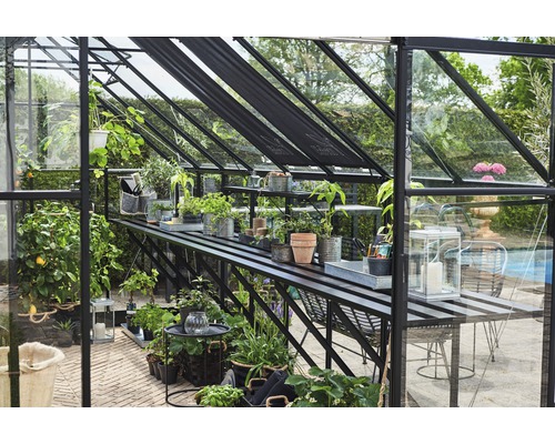 Seră cu plante și accesorii de grădină