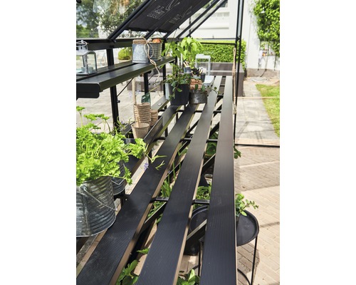 Seră cu plante și rafturi pentru grădină