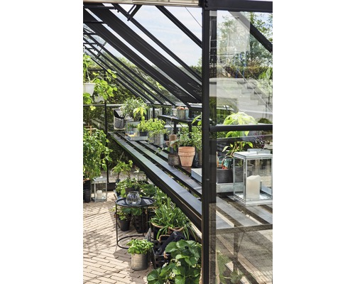 Interiorul unei sere cu plante și rafturi