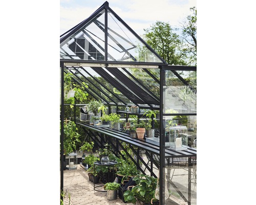 Seră cu plante și rafturi