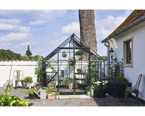 Seră cu plante și accesorii de grădină în aer liber.