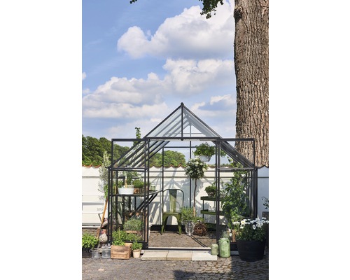 Seră cu plante și unelte de grădinărit în fața unui zid alb