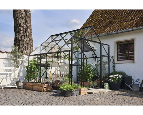 Seră cu plante într-o grădină