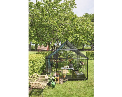 Seră în grădină cu plante și mobilier de grădină