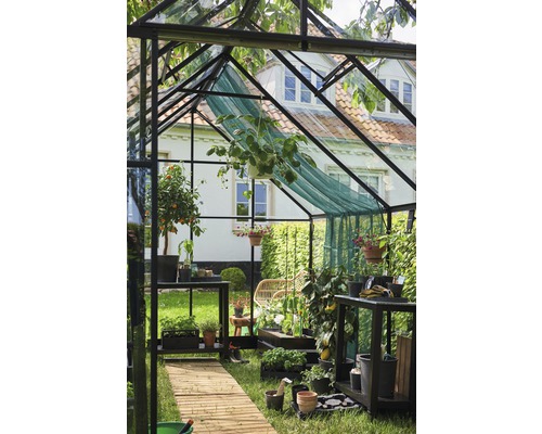 Seră cu plante, rafturi și potecă din lemn