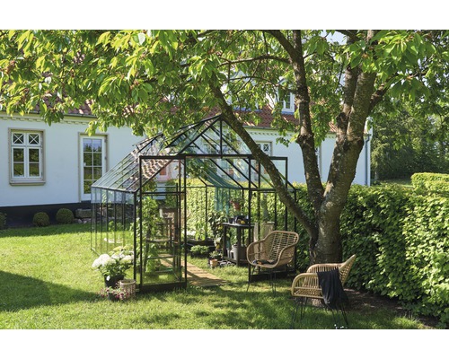 Seră în grădină cu mobilier de grădină și plante