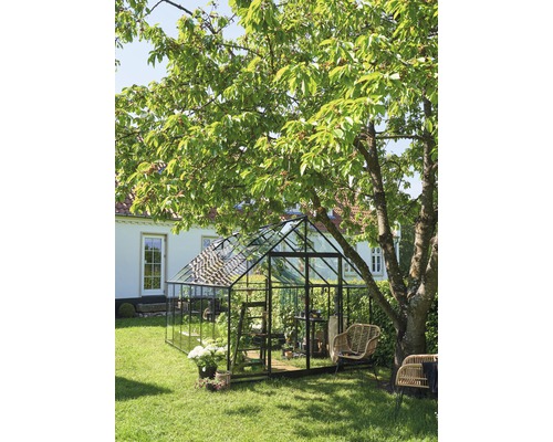 Seră în grădină cu plante, scaune și copac.