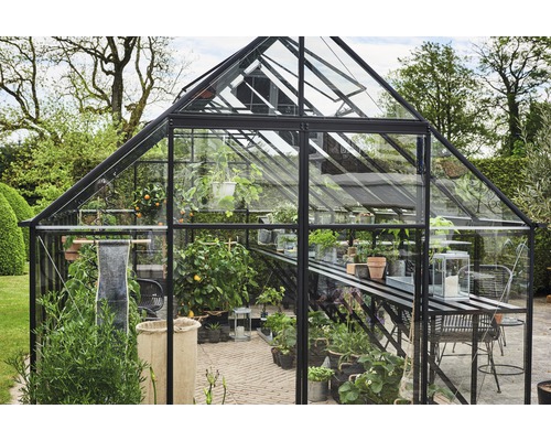 Seră cu plante și mobilier de grădină în aer liber