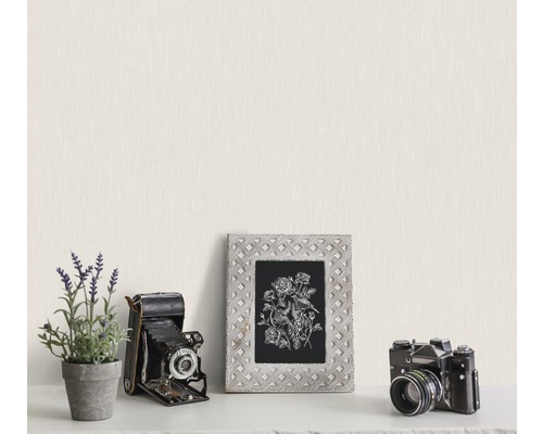 Scenă decorativă cu ramă, flori și camere foto pe un raft