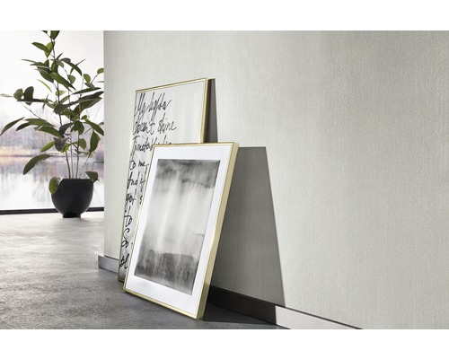 Două tablouri înrămate sprijinite de un perete deschis la culoare, lângă o plantă de apartament.