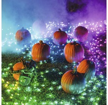 Mai mulți dovleci cu un șir de lumini pentru un decor de Halloween.