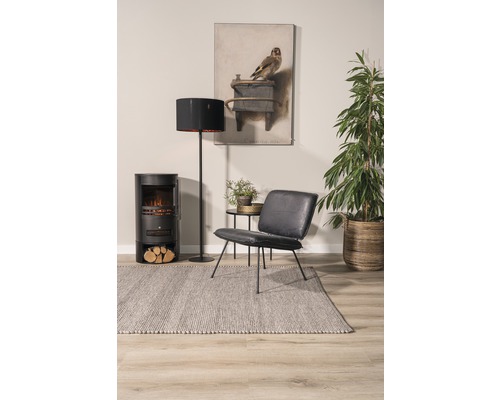 Living cu sobă, lampadar, fotoliu, covor și plantă de interior