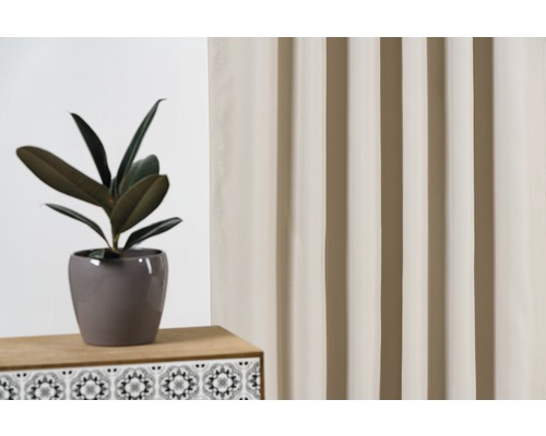 Cameră decorativă cu perdea și arbore de cauciuc în ghiveci