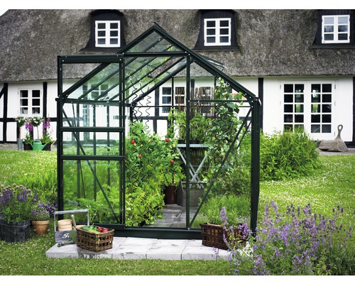 Seră de grădină în grădină cu plante și accesorii de grădinărit.