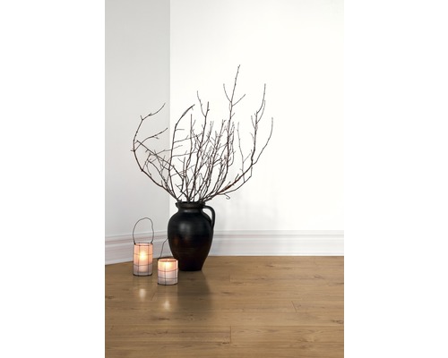 Crengi decorative într-o vază, lângă două felinare pe o podea laminată.