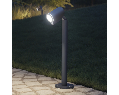 Grădină cu stâlp de iluminat pentru iluminarea căilor și a plantelor