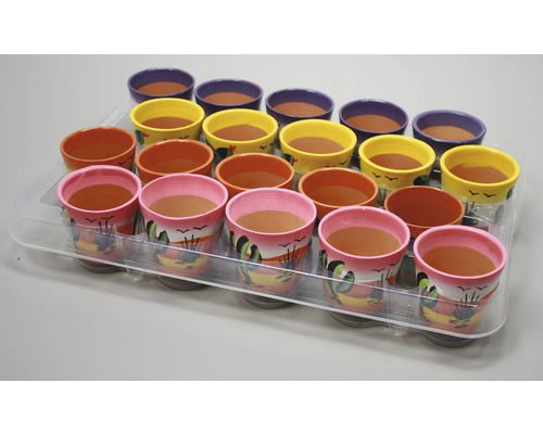 Tavă cu mai multe ghivece de flori