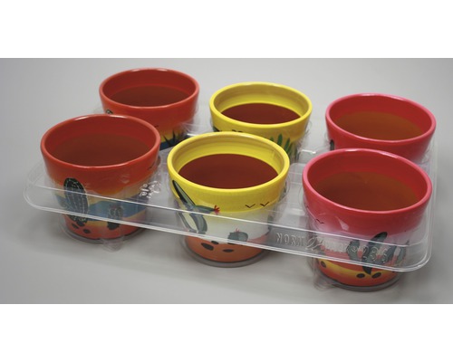 Șase ghivece de flori pictate într-un ambalaj transparent din plastic
