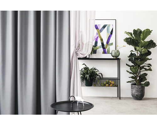 Vedere a camerei cu perdele, consolă, decorațiuni și plante de interior