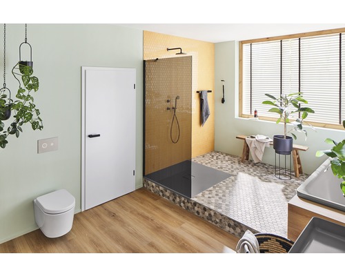 Baie cu duș, toaletă, ușă și decorațiuni