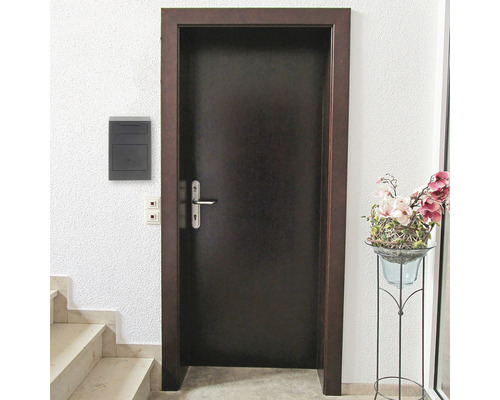 Ușă interioară închisă la culoare cu ramă, cutie poștală și aranjament floral în zona de intrare.