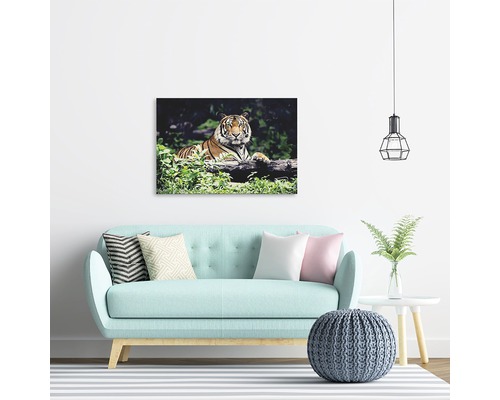 Sufragerie cu canapea, măsuță laterală și decor de perete cu motiv tigru