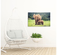 Tablou canvas Familie de elefanți 60x90 cm-thumb-3
