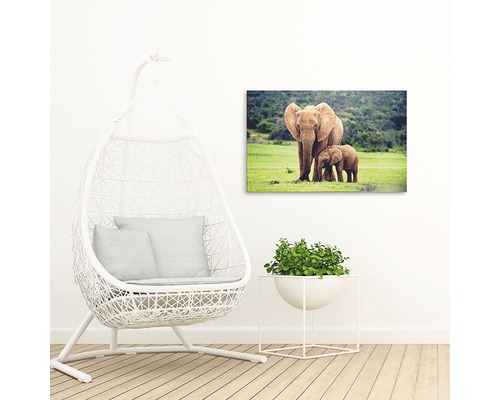 Imagine de perete decorativă cu elefanți pe o pajiște în camera de zi