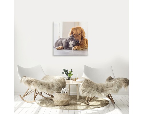 Decorare cu o fotografie pe pânză cu o pisică și un câine în camera de zi