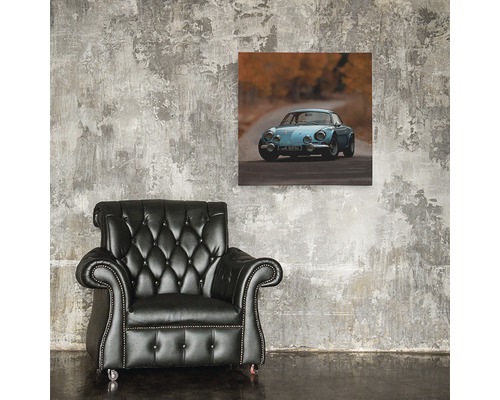 Living cu fotoliu și pictură murală cu motiv auto