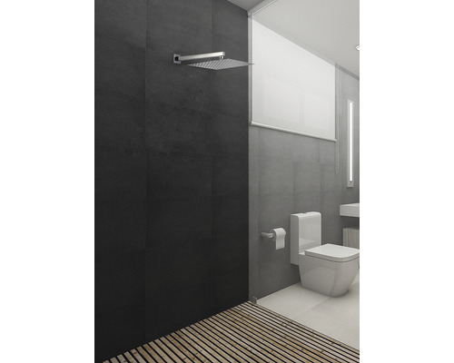 Baie modernă cu duș, toaletă și podea din lemn