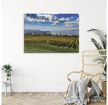 Tablou canvas cu motiv viță de vie deasupra unui scaun din răchită